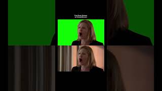 Skyler White Shut Up - Green Screen