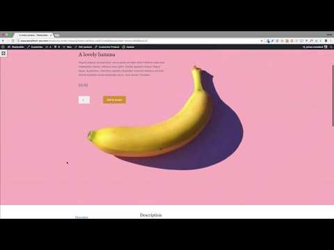 WooBuilder Version 2
