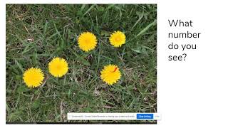 Number Talks Kindergarten May 2020