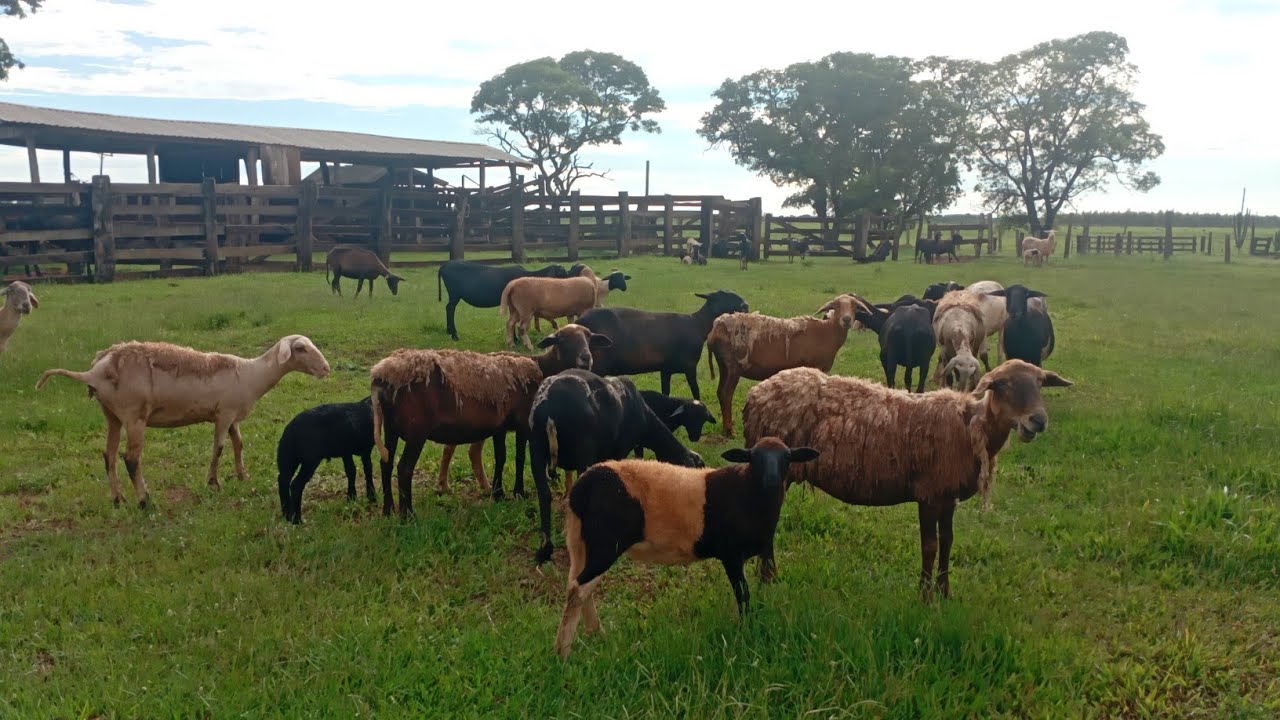 E um prazer ter você no meu dia a dia meus seguidores ❤️❤️❤️❤️
