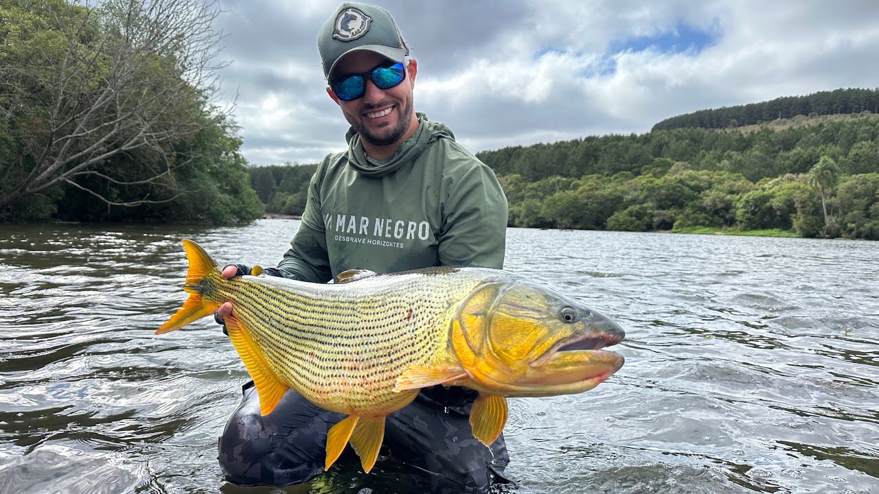 ISSO PODE SALVAR A SUA PESCARIA | RIO IGUAÇU | EPISÓDIO 8 | DOURADO