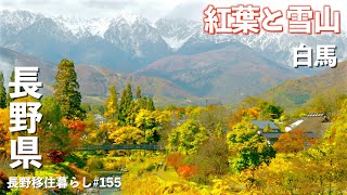 【長野移住】絶景スポットに北アルプスの紅葉と雪山を見に行ってみた!!聖高原白馬ドライブ田舎暮らし長野県4K