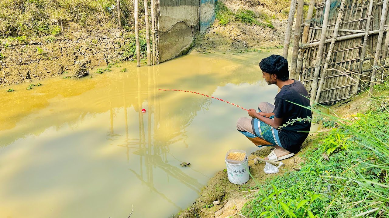 Best Fishing Video Catching Big Hunting Hook Village Fishing inBeautiful Natural Fr Village Fishing 