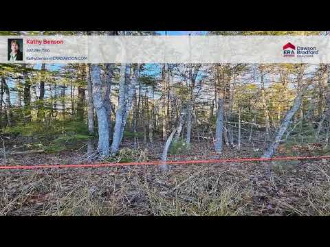 199 Poplar Street, Old Town, ME home video tour