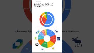 Mid-Cap Top 10