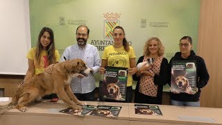 PRESENTADA LA JORNADA DE ADOPCIÓN Y RESPETO HACIA LOS ANIMALES DE TORRELAVEGA