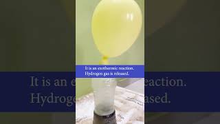 Famous Aluminium Foil #experiment using caustic soda #hydrogen #science #class10 #sciencekipaathshala #cbse Net Worth