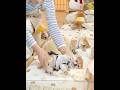 This Puppy Daycare Is Pure Happiness 🐶💛小さな肉球と幸せそうな寝顔に癒される #癒やし動画