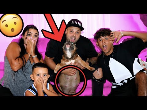 Can’t BELIEVE this happened to our DOG!!!! - YouTube
