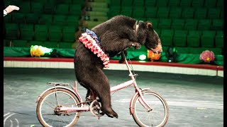 15 Animals You Wont Believe Exist