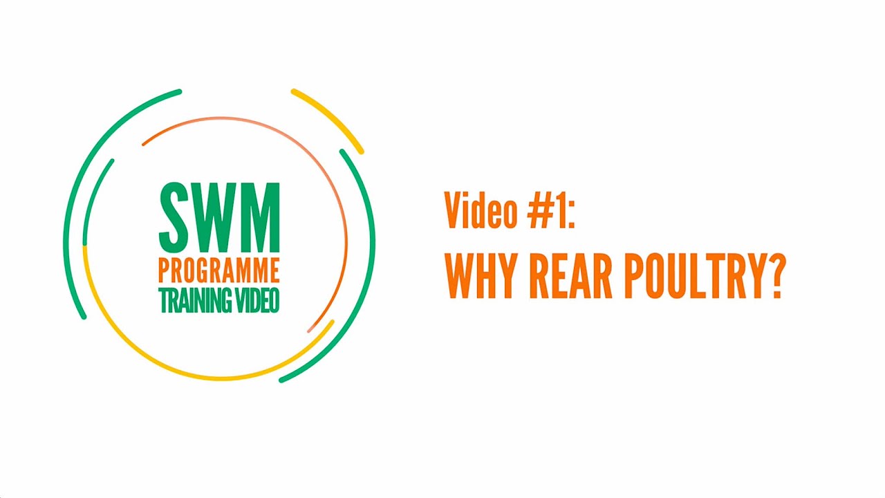 Training video #1 Why rear poultry? - 