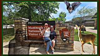 Searching for Bigfoot: Mammoth Cave National Park | Kentucky