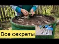 Выращиваем огурцы в бочке. Сочные котлеты. Секретный ингредиент.