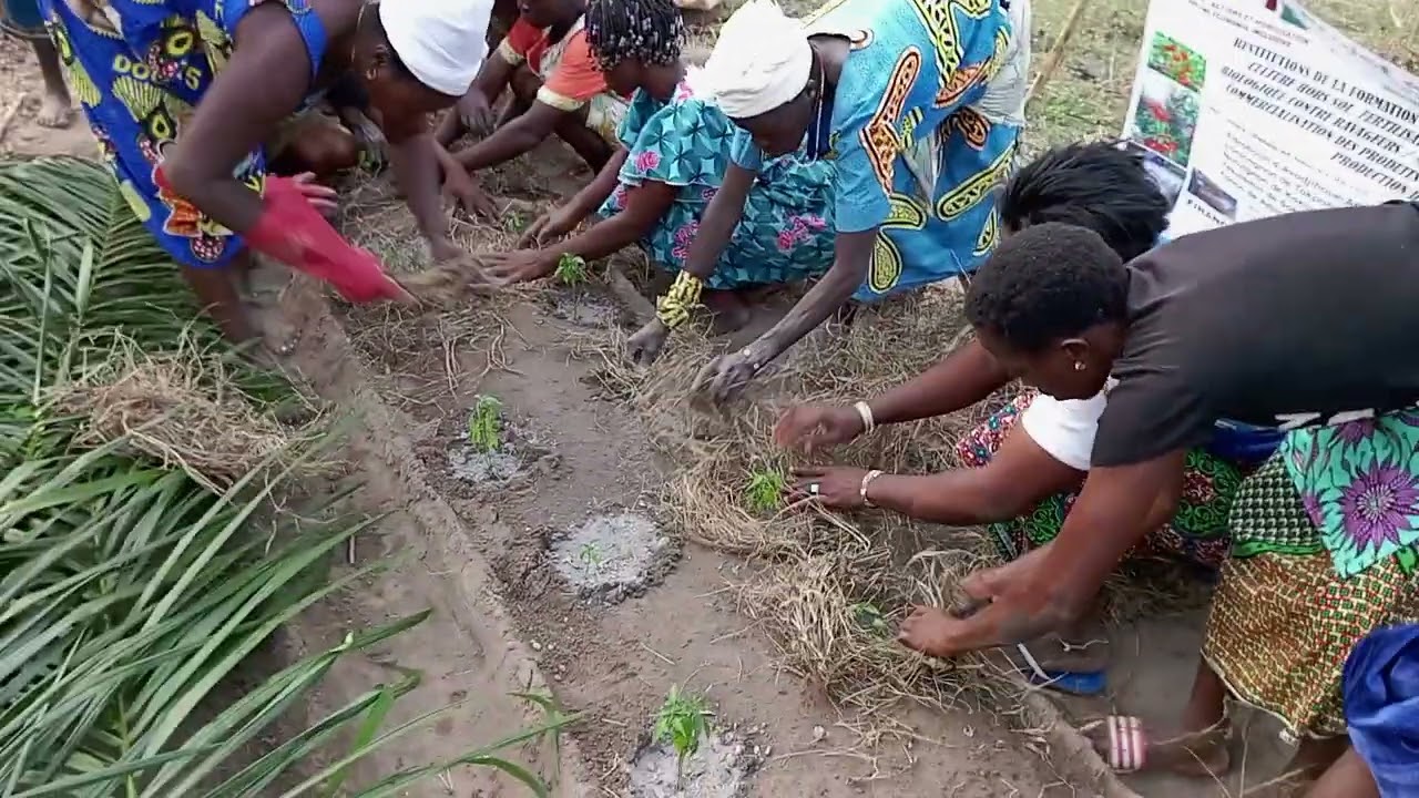Restitutions théo+P/Agnon/formation en maraîchage... du PAEF Aya Gou/APASIC ONG/FAME/GERES/AFD.