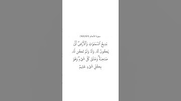 سورة الأنعام ١٠١