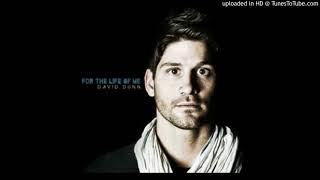 David Dunn - Heart Stops