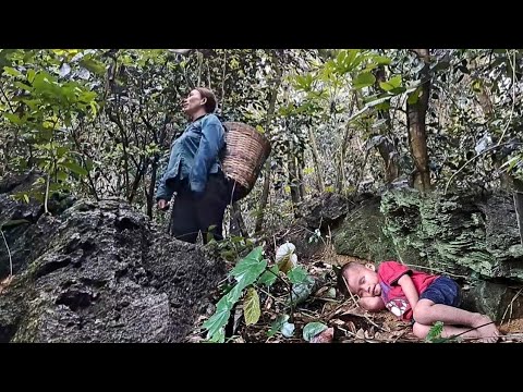 TAM VİDEO: Ormanda kayıp bir çocuğu bulmak için 28 gün boşuna çabalıyoruz - Bekar anne