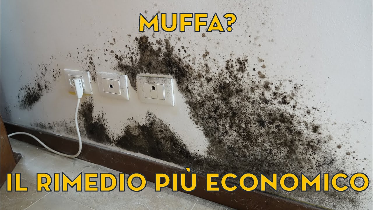 Muffa: la soluzione più economica.