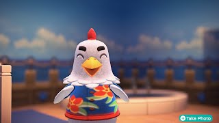 Animal Crossing Happy Home Paradise: Wake up Waypoint for Goose