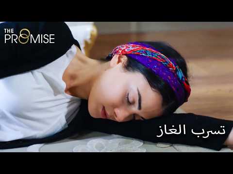 ريحان تواجه خطر الموت | مدبلج عربي