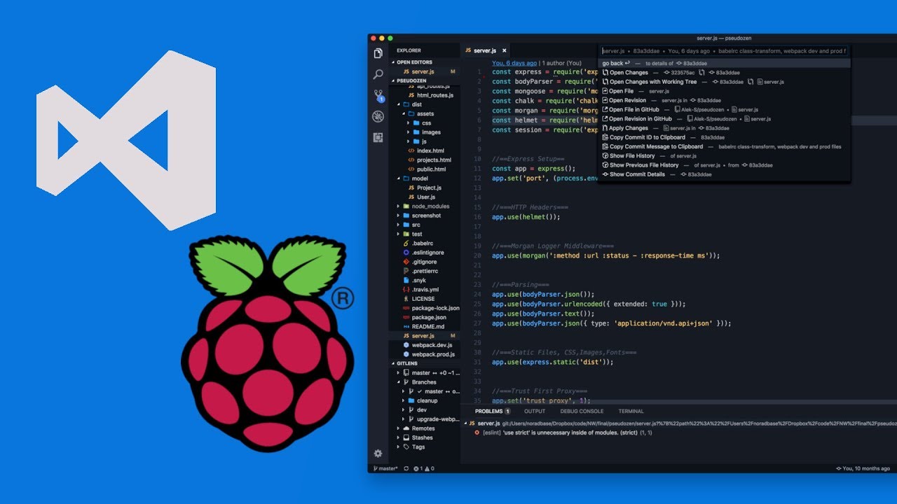 Visual studio code raspberry pi c#