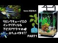 【アクアリウム】リビングキューブ20 インテリアになるレイアウト水槽、アピストグラマ繁殖用水槽立ち上げます！PART1【kazu AQUAch】