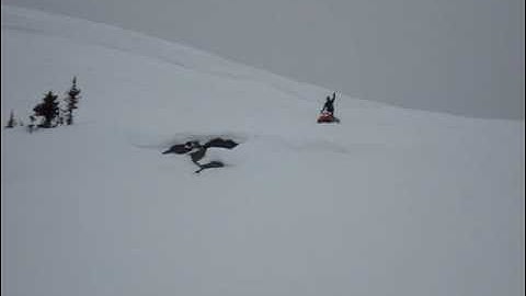 2008 Polaris Dragon Switchback