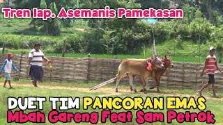 Tren lap. Asemanis, Duet Tim Pancoran Emas Mbah Gareng Feat Sam Petrok.