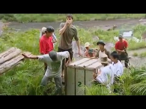 Released into the Wild | Orangutan Diary | BBC Earth