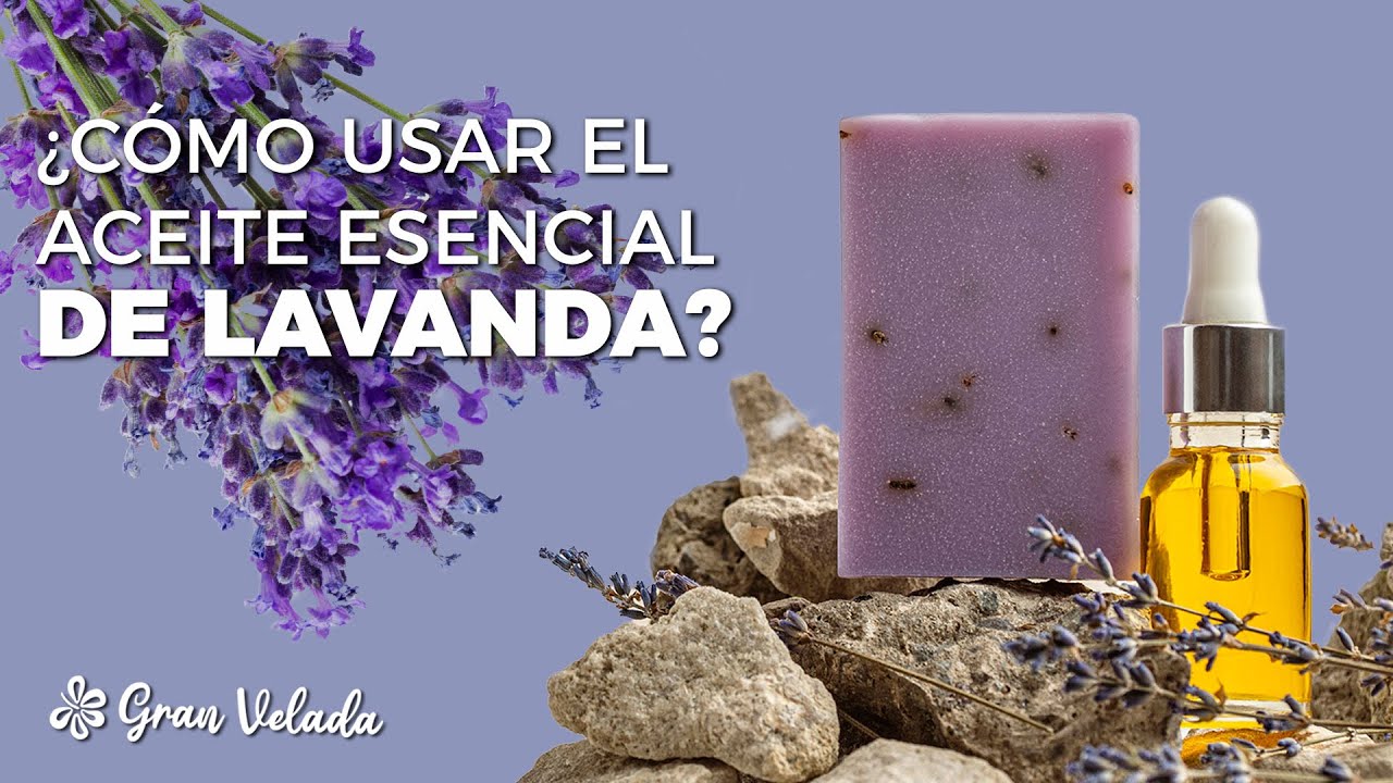  Como Usar El Aceite Esencial De Lavanda YouTube