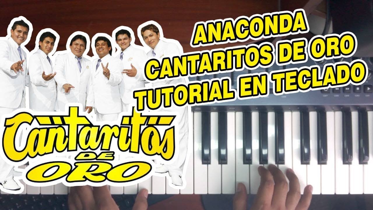 ANACONDA - CANTARITOS DE ORO (TUTORIAL EN TECLADO)