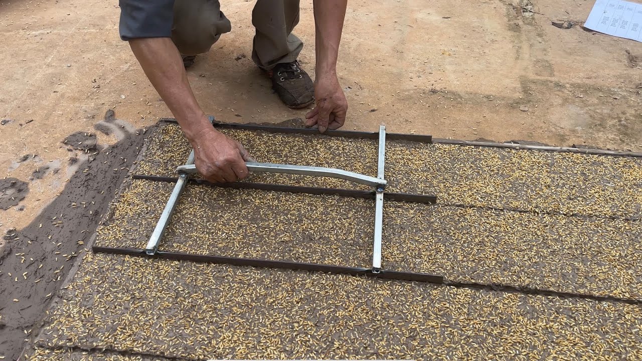 Hướng dẫn  Gieo mạ máy cấy -2023