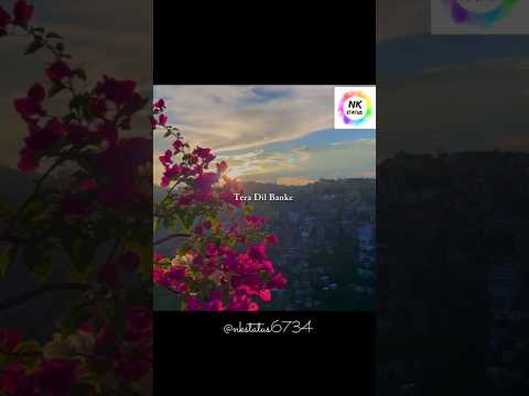 Paniyon Sa - Atif Aslam | Aesthetic Lyrics Video #LyricsShorts #AestheticShorts #HindiSongs