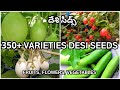 350 varieties of desi seeds  fruits flowers vegetables turmeric english subtitles  premas garden