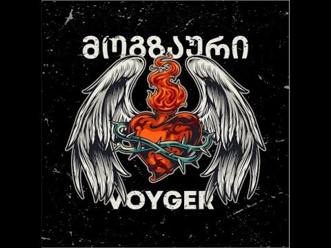 მოგზაური - ნუ გეშინია / Voyager - Don't be afraid