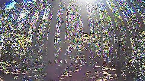 Between the trees (Emax Tinyhawk2 raw DVR FPV footage)