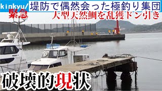 堤防で会った極釣り集団が大型魚を大量に乱獲する手口が凄すぎ
