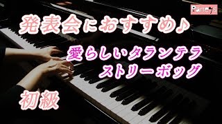愛らしいタランテラ