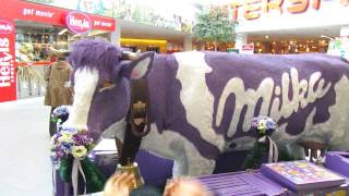 Mucca Milka vivente