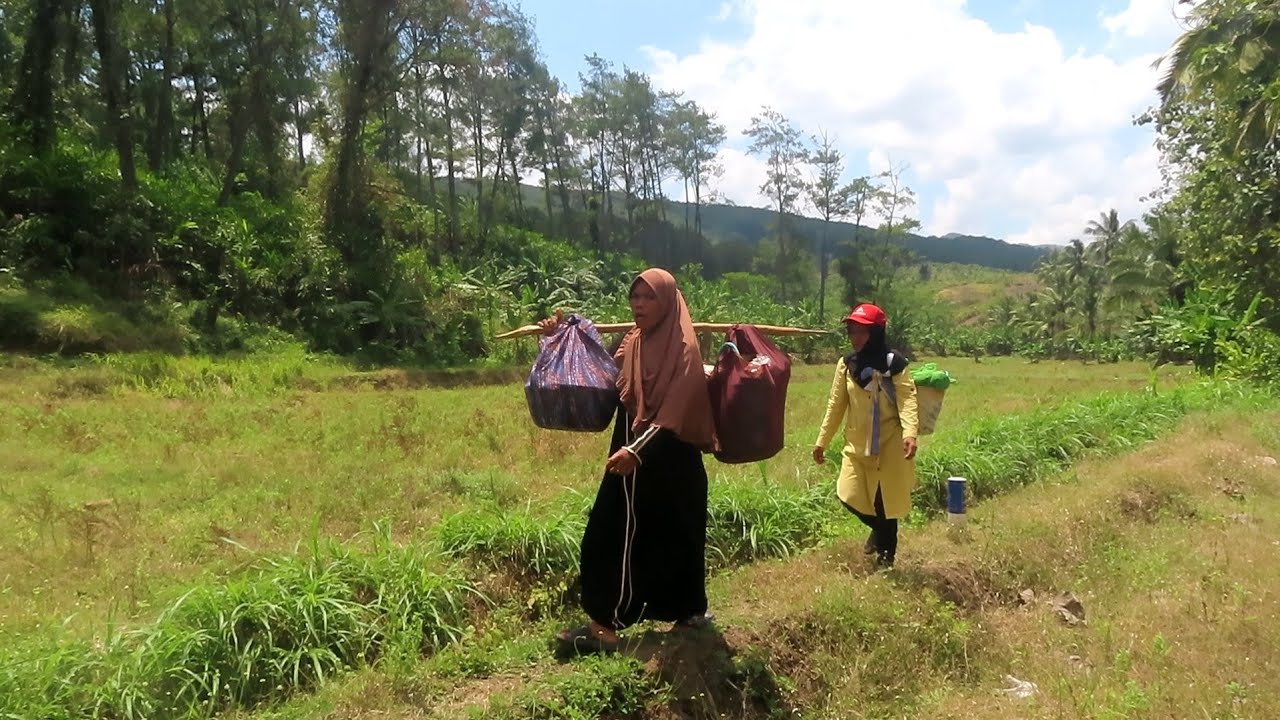 100 HARI SAUDARA|| SMOGA AMAL IBADAHNYA DI TRIMA AMIN-AMIN🤲