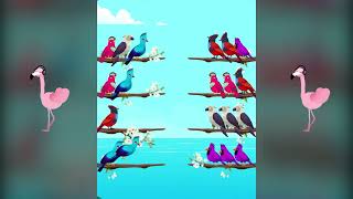 Bird Sort 69 (16-9) screenshot 4