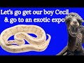 Come with us to go to an exotic expo and to bring our cecil homemonkeys family camel