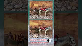 difference find king 95 #bestgame #androidgameplay #shorts #puzzle screenshot 5