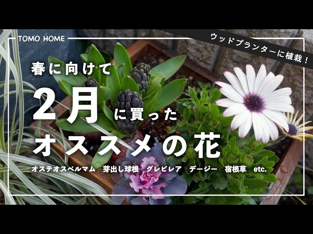 花栽培 sddefault.jpg