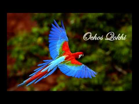 Ochos Qokhi - Hey Gogo [Remix 2012] | ოჩოს ქოხი - ჰეი გოგო (By_De$uZ@)
