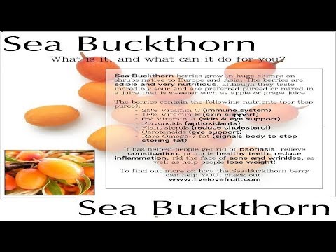 ვიდეო: უკუჩვენებები არსებობს ზღვის Buckthorn