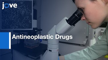 Antineoplastic Drugs for potentiation of Anticancer Antibody Efficacy | Protocol Preview