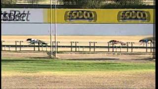 Angle-Park-05022014-Race-3
