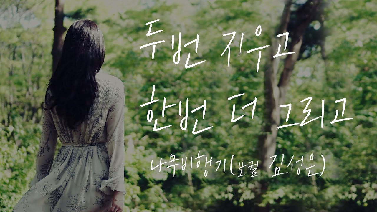 나무비행기-두번 지우고 한번 더 그리고 /  Wood Plane - Missing You