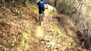 Lowell Moural Middle Section Of Guardian